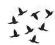 kolibry -scrapbooking (0013)