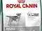 Royal canin mini sterilised 7,5kg
