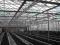 SZKLARNIE 1500m2 OKAZJA