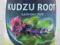 KUDZU ROOT 60kaps.- łagodzi skutki używek PROMOCJA