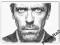 HUGH LAURIE DR HOUSE PORTRET