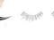ARDELL Lashes sztuczne rzęsy Sweeties Natural