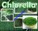 Chlorella 50g. ok. 125 tbl.