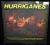 Hurriganes - Sixteen Golden Greats