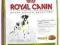 Royal Canin Geat Dane23 Dog niemiecki 12kg adult