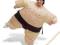 Kostium Zawodnika Sumo