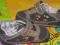 Buty NEXT rozm. 6-12 m-cy
