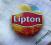 LIPTON - BELGIA