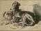 pies przyjaciel oryg. 1886