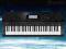 $$$ KEYBOARD CASIO CTK-7000 + KB2EX NA PREZENT $$