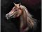++++    Obraz olejny  Emilia WILK  +++  !!!! Konie