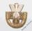 Odznaka POS na koalicyjkę miniaturka WP 1939