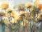 Obraz kwiaty osty łąka akwarela oryginał tanio