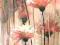 Obraz kwiaty gerbery ogród akwarela oryginał tanio
