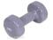 HANTLE WINYLOWE FITNESS, AEROBIC - 5 KG - THORN