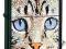 ZIPPO 28040 Cat, Black Matte +benzyna Zippo GRATIS