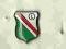 Odznaka Legia Warszawa żywica na pins Zagłębie