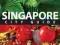 LONELY PLANET SINGAPORE SINGAPUR PRZEWODNIK WAWA