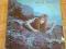 ROXY MUSIC - The fifth album
