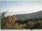 BESKID SLASKI PANORAMA Z SZYNDZIELNI 375