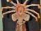 Figurka Neca Alien Facehugger Head Knocker