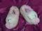 NEXT Sliczniutkie Paputki Kapcie Misiaczki UK3
