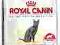 Royal Canin STERILISED 10kg dostawa GRATIS
