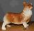 Porcelanowy pies - Welsh Corgi.