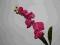 storczyk różowy gałązka, sztuczne kwiaty, TANIO!!!