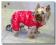 Kombinezon zimowy LOVE CUTE RED  DogsZone AUKCJA