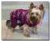 Kombinezon zimowy LOVE CUTE PURPLE DogsZone AUKCJA