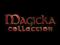 Magicka Collection+12DLC - STEAM KEY Automat 24/7
