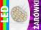 ZAROWKA DIODOWA G4 21 LED SMD 12V ZAROWKI 9 12 24
