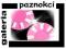 galeria-paznokci TIPSY FRENCH CARO 100SZT 6,9zł