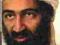 Robinson: Bin Laden: Behind the Mask of Terrorist