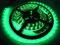 Taśma 300LED IP65 5m GN GXLS015 zielony