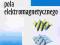 Podstawy teorii pola elektromagnetycznego Piątek