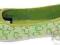 AMERICAN CLUB OZDOBA GREEN BALERINKI R.36
