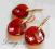 SWAROVSKI TWIST RED MAGMA KOMPLET POZŁACANY