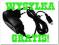 ZASILACZ SIECIOWY MINI USB LADOWARKA MP3 MP4