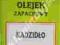 OLEJEK (OLEJKI) ZAPACHOWE 12ml - KADZIDŁO