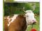 Chów bydła w małym gospodarstwie - Nałęcz