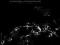 MARILYN CRISPELL - ONE DARK NIGHT I LEFT... CD