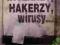 INTERNET HAKERZY WIRUSY Wang + płyta CD hakerstwo