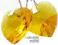 NOWE SWAROVSKI piękne kolczyki SUNFLOWER SREBRO