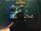 TRIBUTE TO SCOTT JOPLIN FEATURING THE STING