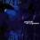~ Bluezeum - Portrait Of A Groove (Telarc)