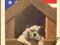 All-American Dog, psy sztuka prymitywizm 172 ilust