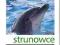 TRENING PRZED MATURĄ BIOLOGIA STRUNOWCE 673138327W