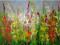 EBIER=Gladiole    VII  =O/OLEJNY  60X80CM
